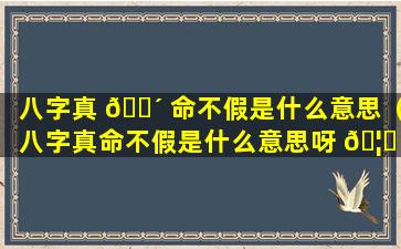 八字真 🌴 命不假是什么意思（八字真命不假是什么意思呀 🦈 ）